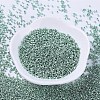 MIYUKI Delica Beads SEED-MY11-DB0415-2