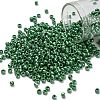 TOHO 8/0 Round Beads SEED-XTR08-0130D-1