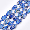Freshwater Shell Beads Strands X-SHEL-S276-14-1