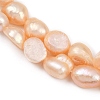 Natural Cultured Freshwater Pearl Beads Strands PEAR-P064-20I-03B-02-4