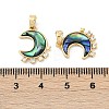 Natural Paua Shell Moon Pendants KK-U043-23G-01-3