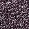 MIYUKI Round Rocailles Beads X-SEED-G007-RR1088-3