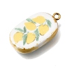 Fruit & Floral & Animals Printed Handmade Porcelain Pendants STAS-Z207-01G-03-2