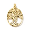 Rack Plating Brass with Cubic Zirconia Pendants KK-Z086-11G-02-1