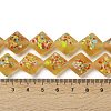 Frosted Handmade Lampwork Beads Strands LAMP-A010-01E-4
