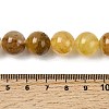 Natural Yellow Hematoid Quartz Beads Strands G-K365-D01-12mm-5