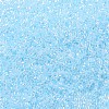 MIYUKI Delica Beads SEED-JP0008-DB0239-4