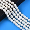 Natural Cultured Freshwater Pearl Beads Strands PEAR-N012-07B-6