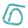 Natural Howlite Beads Strands TURQ-P027-32-8mm-2