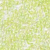 8/0 Glass Seed Beads X-SEED-A016-3mm-212-2
