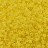 MIYUKI Delica Beads SEED-X0054-DB0743-3