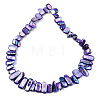 Natural Freshwater Shell Beads Strands X-SHEL-N026-123H-2