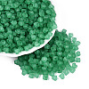 FGB Frosted Transparent Glass Seed Beads SEED-N013-03A-09-1