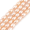 Natural Cultured Freshwater Pearl Beads Strands PEAR-P062-02A-2