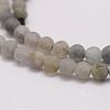 Natural Labradorite Beads Strands G-G970-02-4mm-3