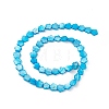 Natural Freshwater Shell Dyed Beads Strands SHEL-K001-001F-2