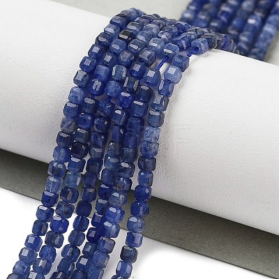 Natural Sodalite Beads Strands G-H042-B08-01-1