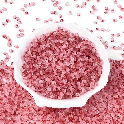 Frosted Glass Seed Beads SEED-N012-01J-1