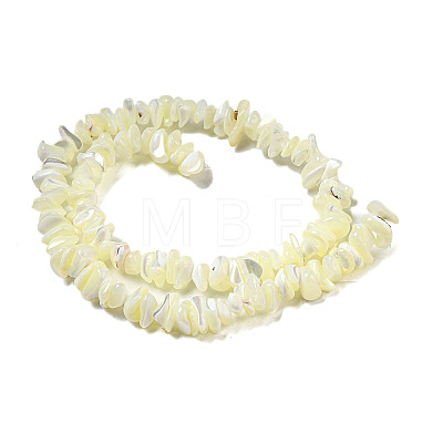 Natural Trochus Shell Beads Strands SSHEL-H072-12-1