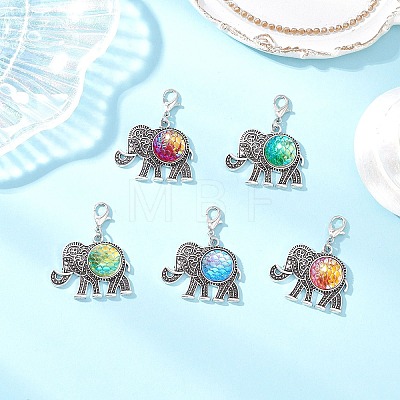 Resin Pendant Docorations X-HJEW-JM03704-1