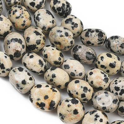 Natural Dalmatian Jasper Beads Strands GG-CBA787B-A11-1