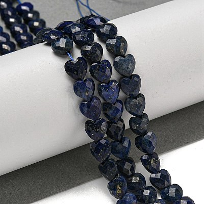 Natural Lapis Lazuli Beads Strands G-P544-E10-01-1