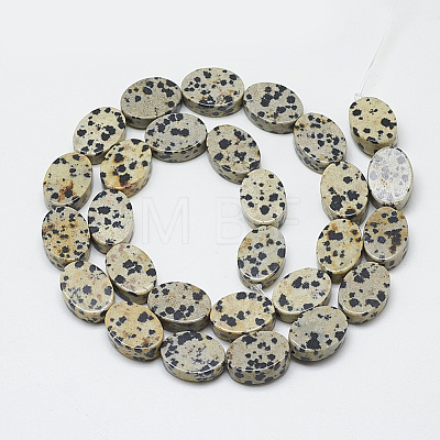 Natural Dalmatian Jasper Beads Strands G-T122-04J-1