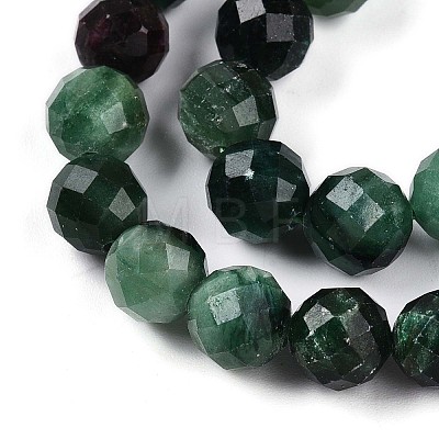 Natural Fuchsite Beads Strands G-T140-20B-1