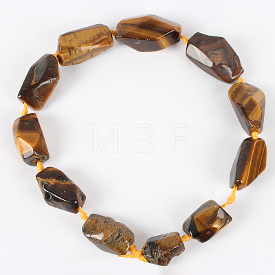Natural Tiger Eye Gemstone Bead Strands G-E218-07-1