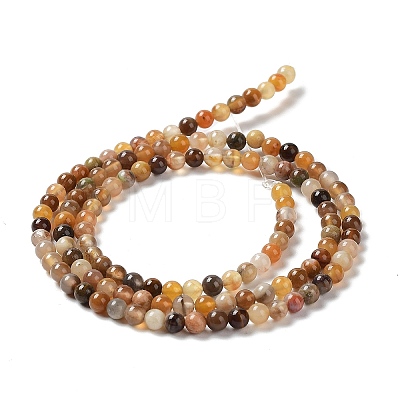 Natural Petrified Wood Round Bead Strands G-P070-69-3mm-1