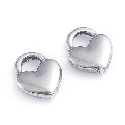 Non-Tarnish 304 Stainless Steel Charms LS-STAS-I148-04P-1