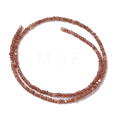 Natural Freshwater Shell Beads Strands SHEL-P017-01A-15-1