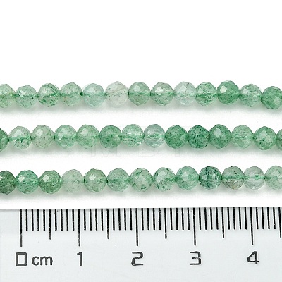 Natural Green Strawberry Quartz Beads Strands G-Z034-A02-03-1