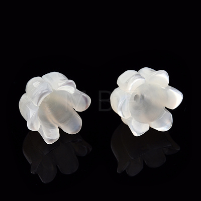 Natural White Shell Bead Caps SSHEL-N032-58B-1