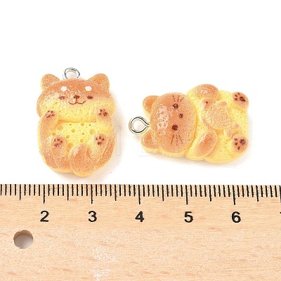 Cute Resin Pendants RESI-V005-005-1