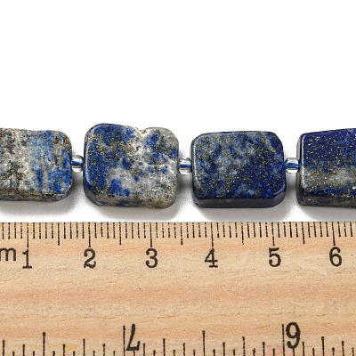 Natural Lapis Lazuli Beads Strands G-Z043-A07-01-1