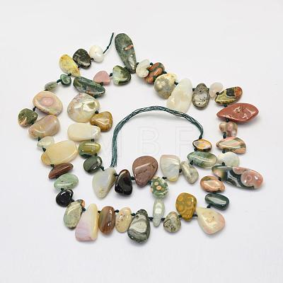 Natural Ocean Agate/Ocean Jasper Beads Strands G-L464-13-1
