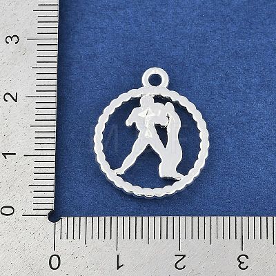 Twelve Constellations Alloy Pendants PALLOY-Q006-01E-S-1