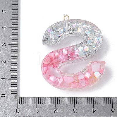 Resin Pendants RESI-B029-01P-S-1