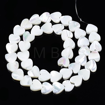 Natural Trochid Shell/Trochus Shell Beads Strands SSHEL-N034-99B-B01-1