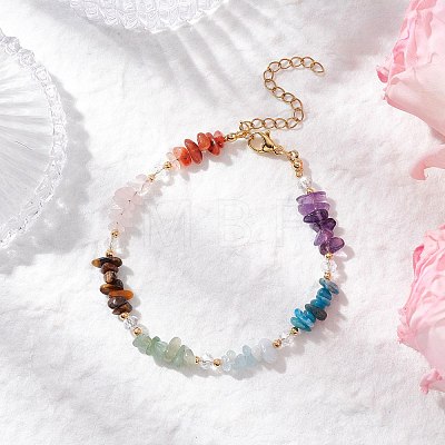 Chakra Natural Rose Quartz & Amethyst & Apatite & Aquamarine & Green Aventurine & Tiger Eye & Carnelian Chip Beaded Bracelets for Women BJEW-JB11740-02-1