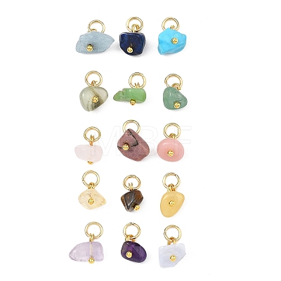 15Pcs Natural & Synthetic Gemstone Pendants PALLOY-JF05357-01-1