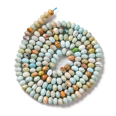 Natural Howlite Beads Strands G-H025-03B-06-1