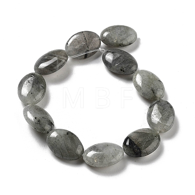 Natural Labradorite Beads Strands G-P528-M10-01-1