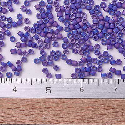 MIYUKI Delica Beads Small X-SEED-J020-DBS0880-1