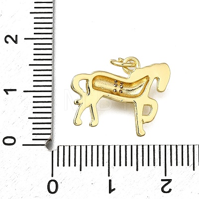 Brass Micro Pave Clear Cubic Zirconia Pendants ZIRC-I070-061G-1