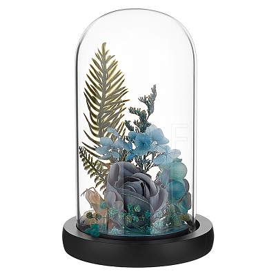 Arch Glass Dome Cover AJEW-WH0596-866B-03-1