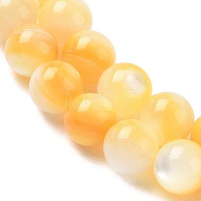 Natural Yellow Shell Beads Strands SH-CBACA76-16A-1