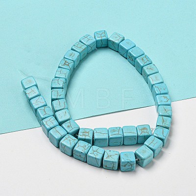 Dyed Synthetic Turquoise Beads Strands G-G075-B02-01-1
