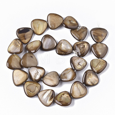 Freshwater Shell Beads Strands SHEL-T014-003-1
